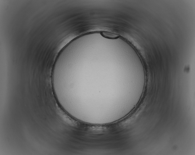 X0000089461137200707131943