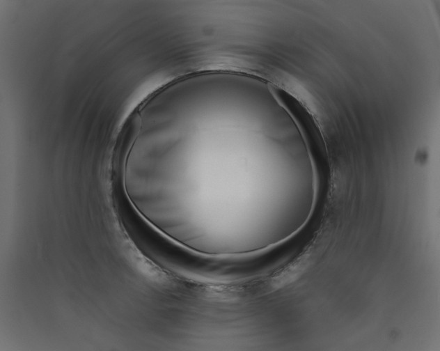 X0000089461138200707131943