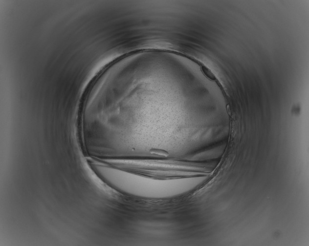 X0000089461139200707131943