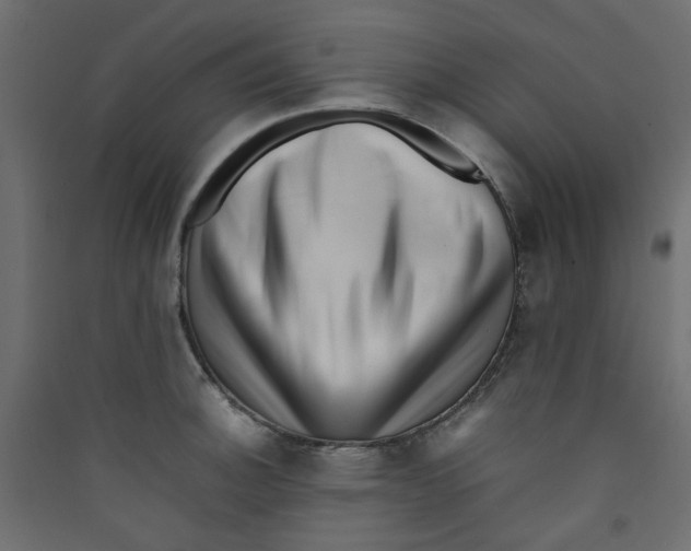 X0000089461140200707131943