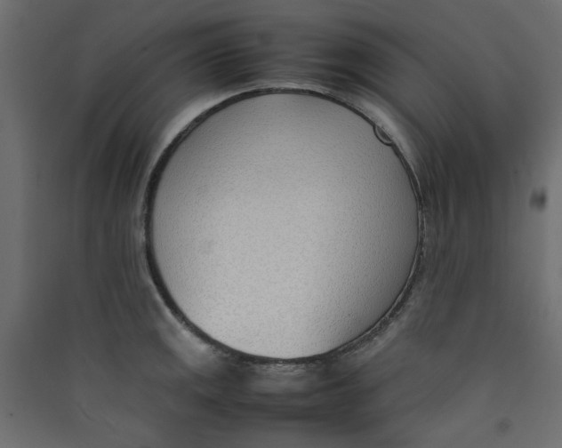 X0000089461141200707131943