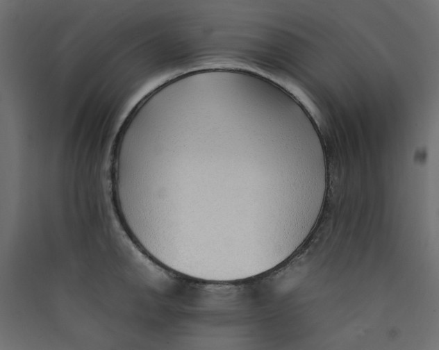 X0000089461142200707131943