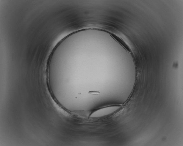 X0000089461143200707131943