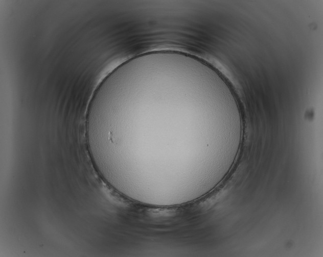 X0000089461145200707131943