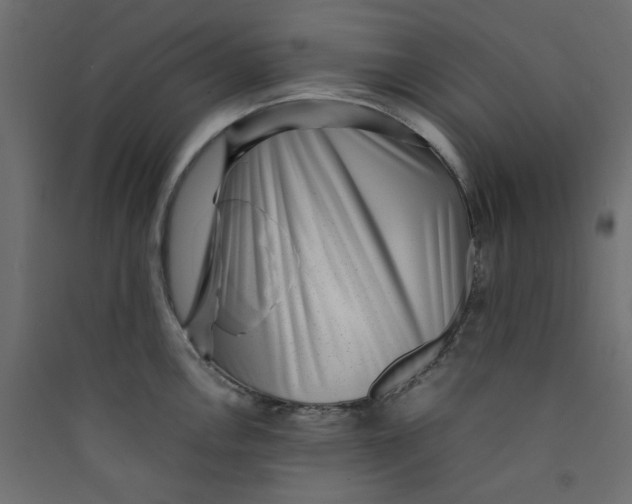 X0000089461146200707131943