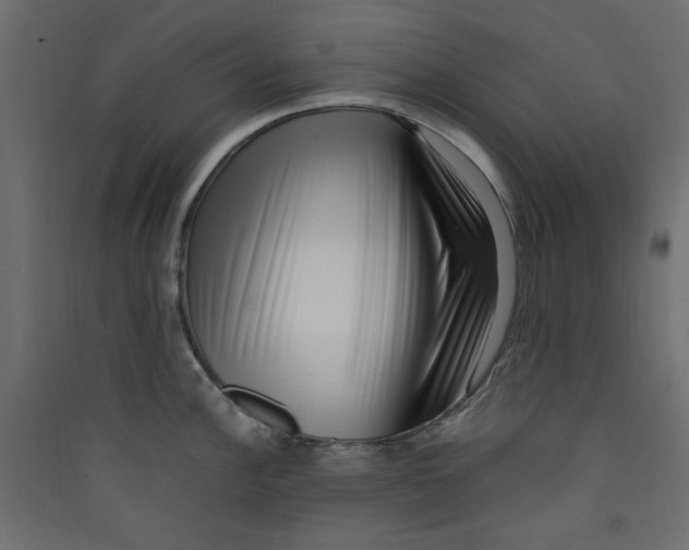 X0000089461148200707131943