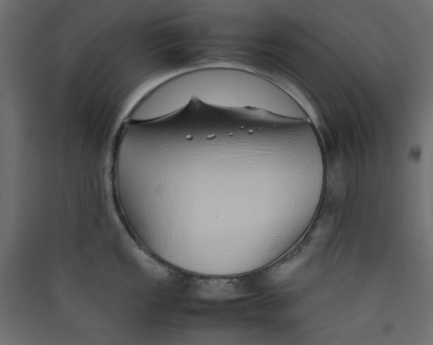 X0000089461149200707131943