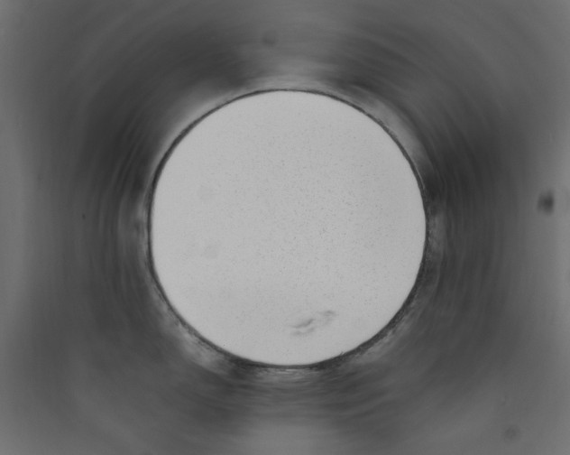 X0000089461150200707131943