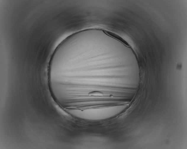 X0000089461151200707131943