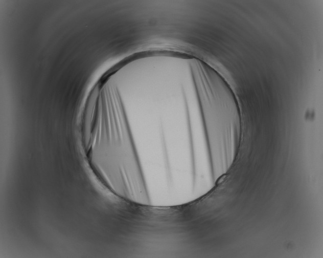 X0000089461152200707131943