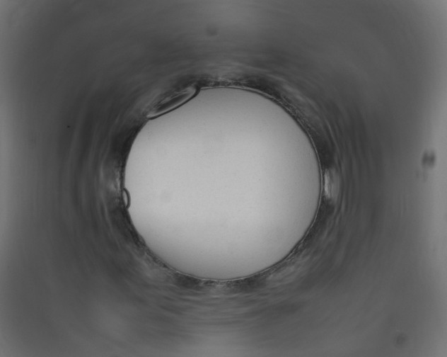 X0000089461155200707131942