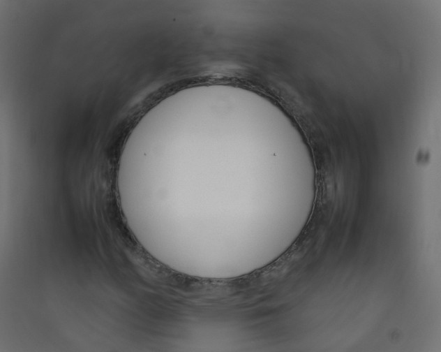 X0000089461158200707131942