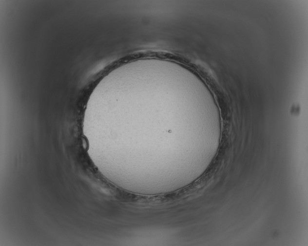 X0000089461159200707131942