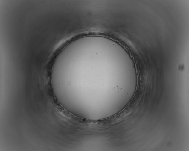 X0000089461160200707131942