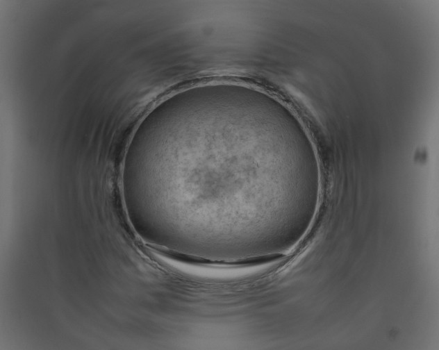 X0000089461161200707131942