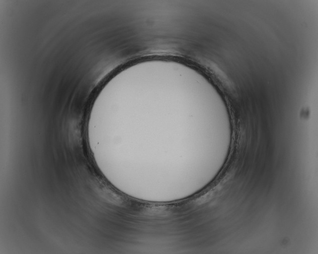 X0000089461162200707131942