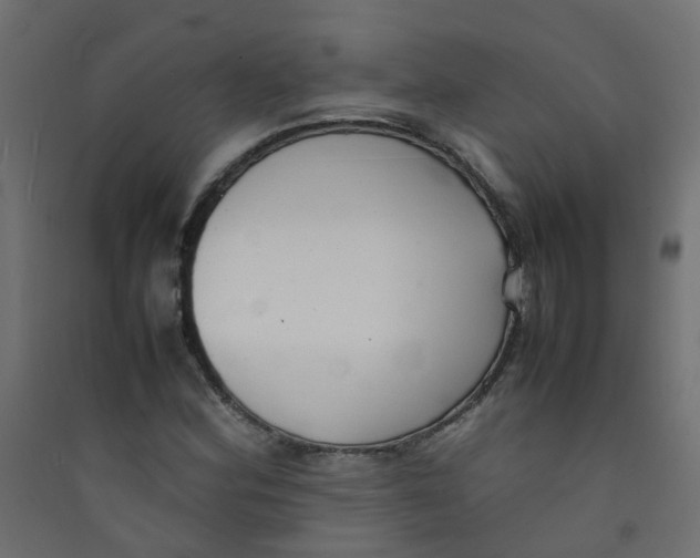 X0000089461164200707131942