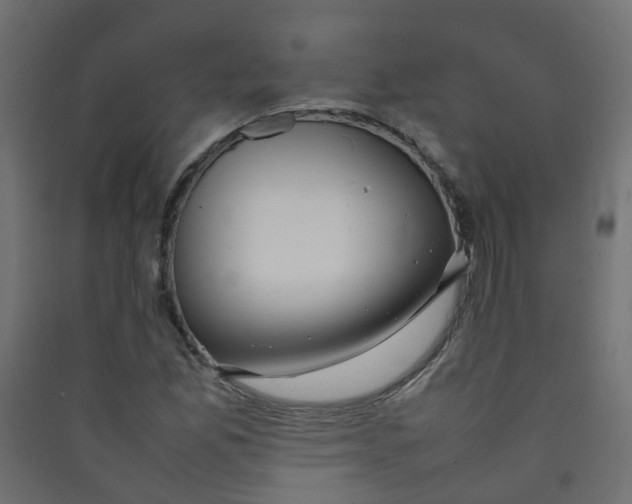 X0000089461165200707131942