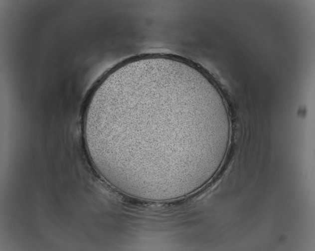 X0000089461167200707131942