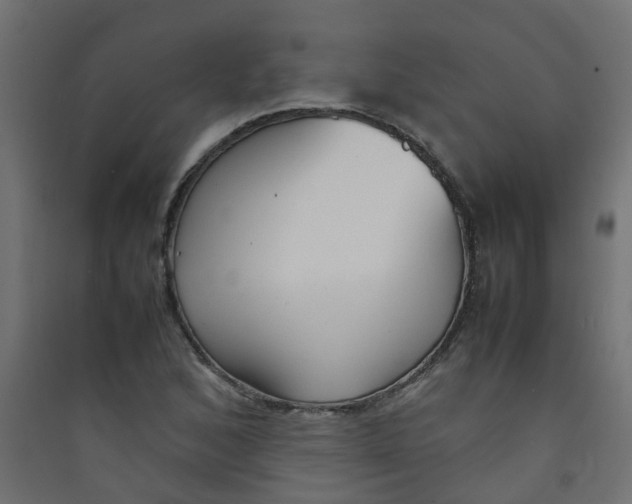 X0000089461168200707131942