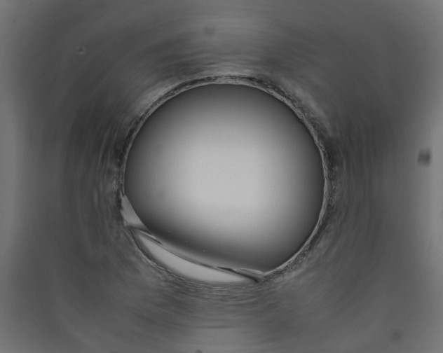 X0000089461169200707131942