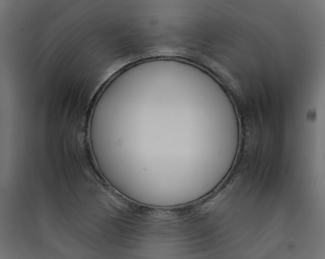 X0000089461170200707131942