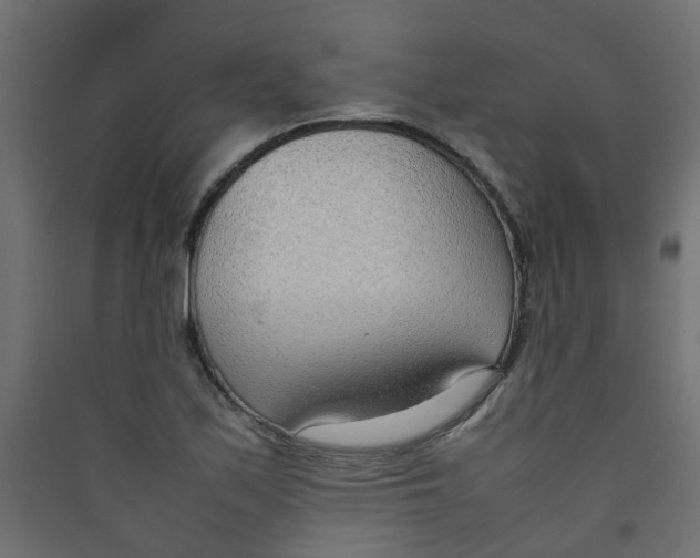 X0000089461171200707131942