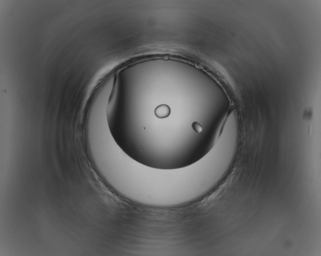 X0000089461172200707131942