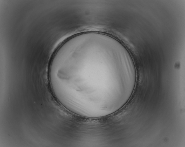 X0000089461174200707131942