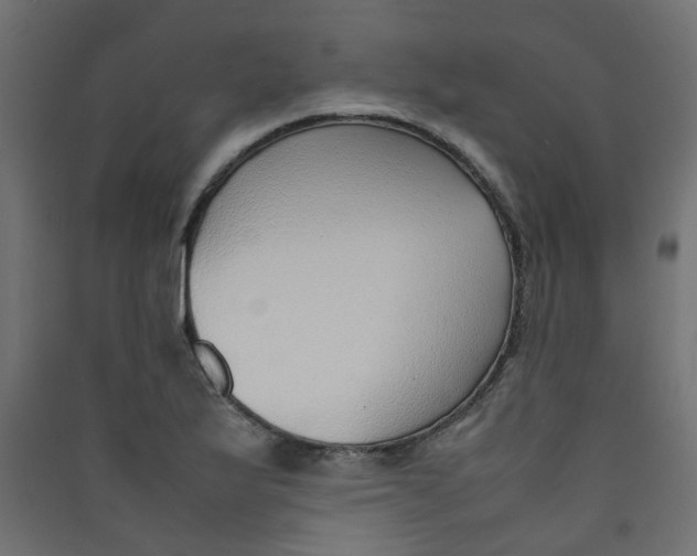 X0000089461175200707131942