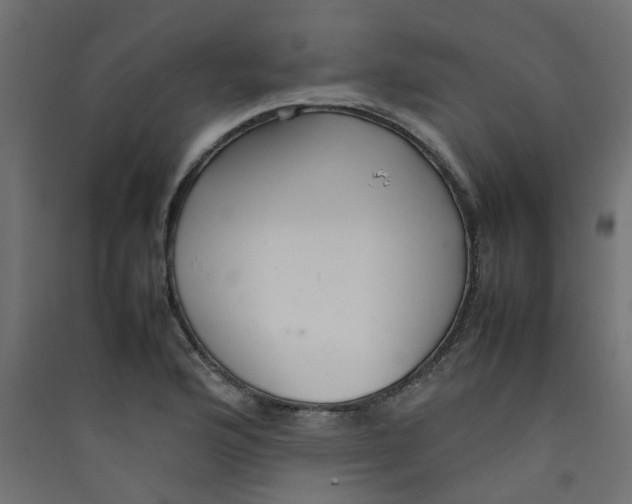 X0000089461176200707131942