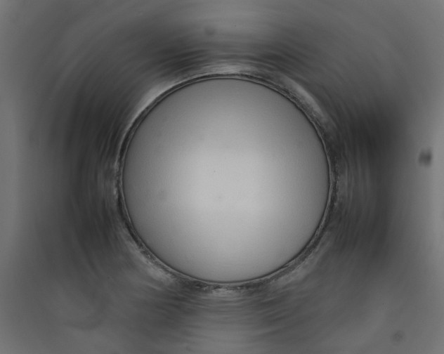 X0000089461178200707131942