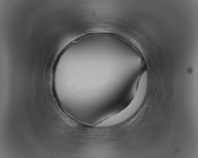 X0000089461179200707131942