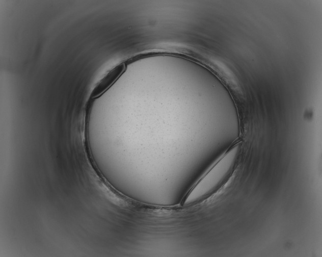 X0000089461180200707131942