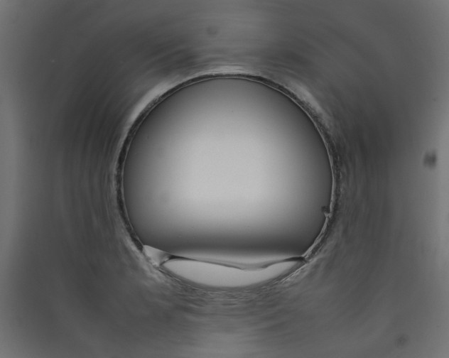 X0000089461181200707131942