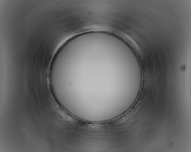 X0000089461182200707131942