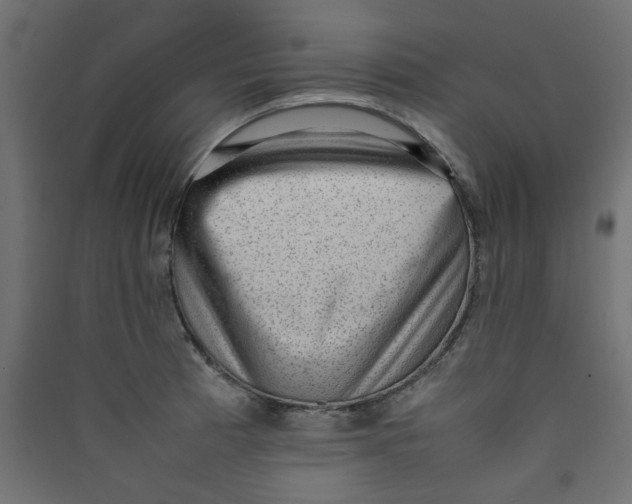 X0000089461185200707131942