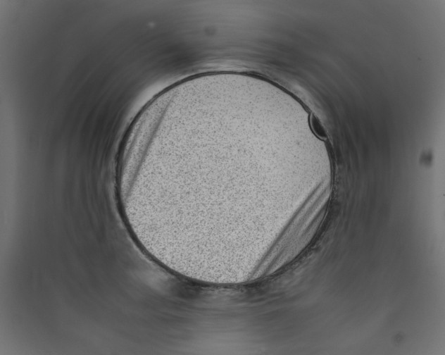 X0000089461187200707131942