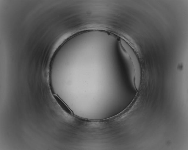 X0000089461188200707131942