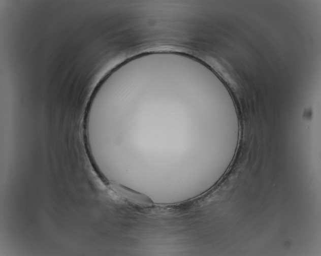 X0000089461189200707131942