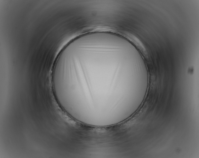 X0000089461190200707131942