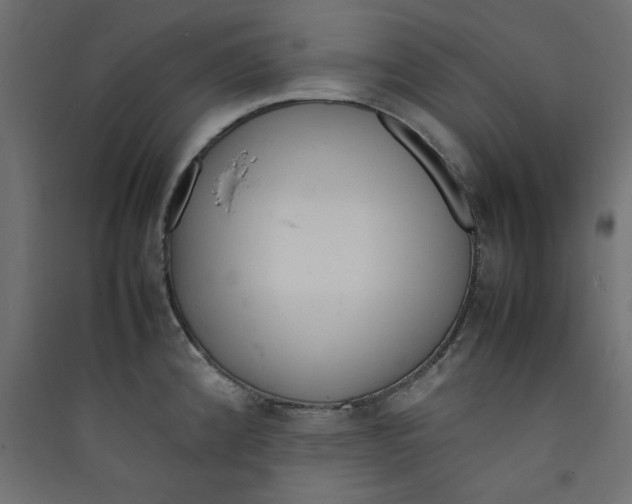 X0000089461192200707131942