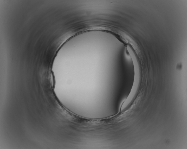 X0000089461193200707131942