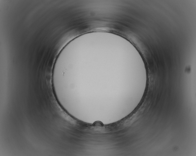 X0000089461194200707131942