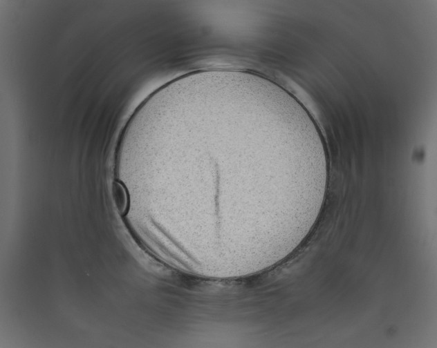 X0000089461195200707131942