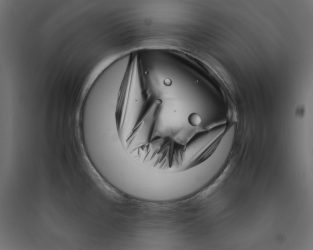 X0000089461196200707131941