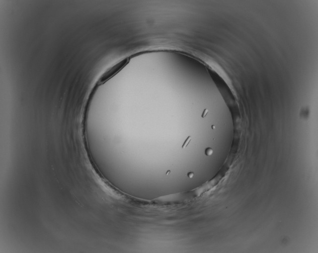 X0000089461197200707131941