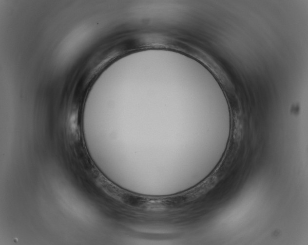 X0000089461198200707131941