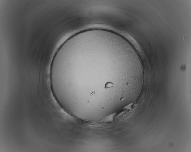 X0000089461199200707131941