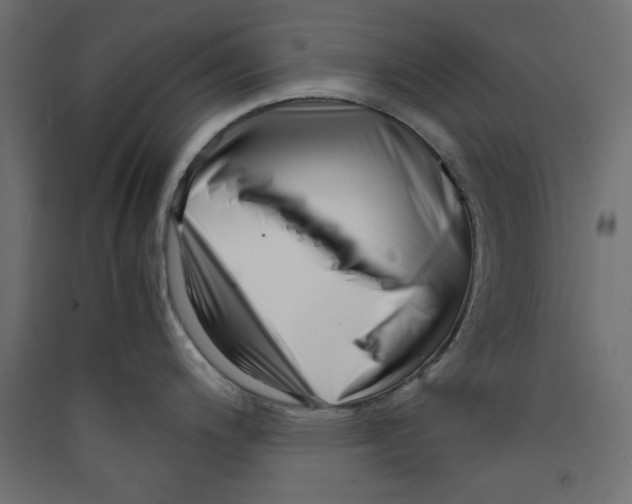 X0000089461200200707131941